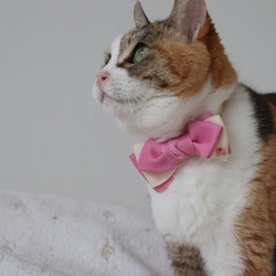 チョコミントアイスかストロベリーアイスの刺繍が可愛い猫さんの首輪 7枚目の画像