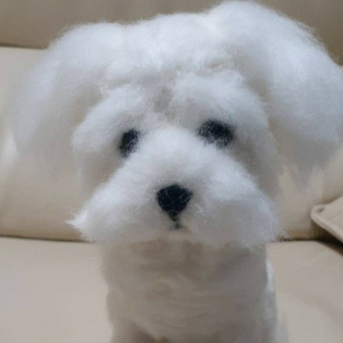 羊毛フェルト マルチーズちゃん 羊毛フェルト Kingこうた 通販