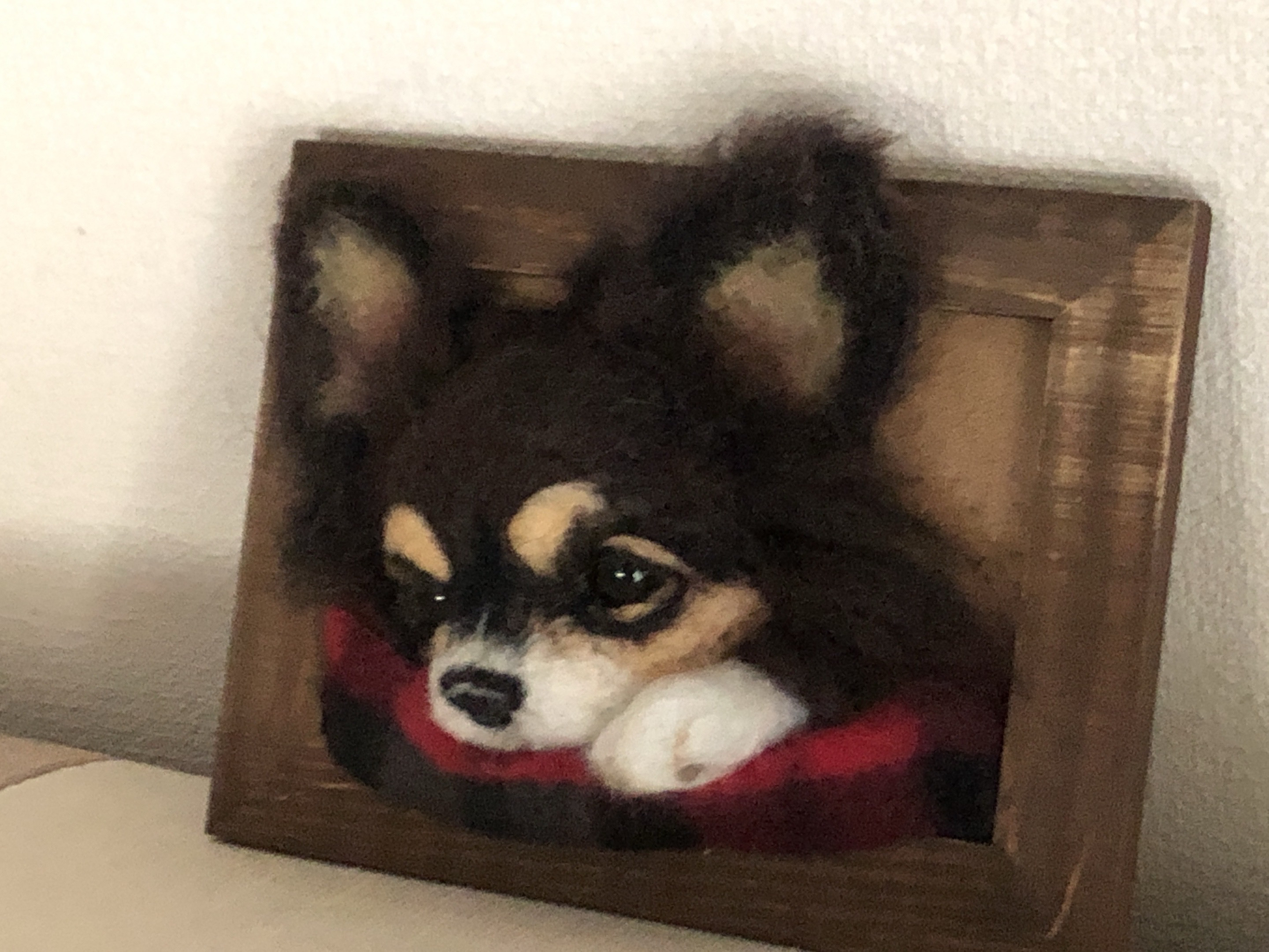 リアルで可愛いワンちゃん」チワワ現品 可愛いチワワ