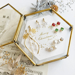 冬限定✴︎クリスマスコフレ✴︎ flowerオリジナル5点setピアス・ノンホールピアス 13枚目の画像