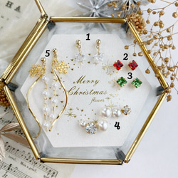 冬限定✴︎クリスマスコフレ✴︎ flowerオリジナル5点setピアス・ノンホールピアス 14枚目の画像