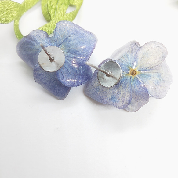 藍のメモリー デニムカラー紫陽花のピアス 4枚目の画像