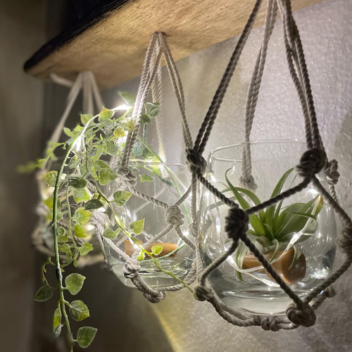 流木☆プランツハンガー 流木プランツハンガー 〜draft wood 自然の贈り物〜 一輪挿し