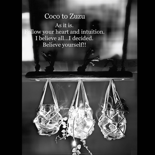 流木プランツハンガー 〜draft wood 自然の贈り物〜 一輪挿し・花瓶