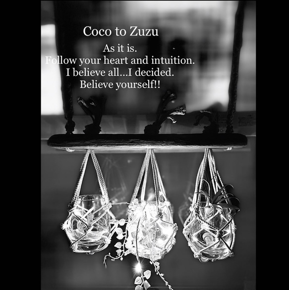 流木☆プランツハンガー 流木プランツハンガー 〜draft wood 自然の贈り物〜 一輪挿し