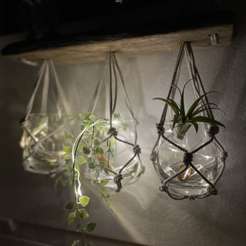 流木☆プランツハンガー 流木プランツハンガー 〜draft wood 自然の贈り物〜 一輪挿し