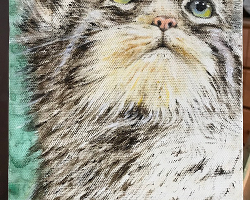 油絵 マヌル猫 絵画 kamekoen 通販 14774245｜Creema(クリーマ)