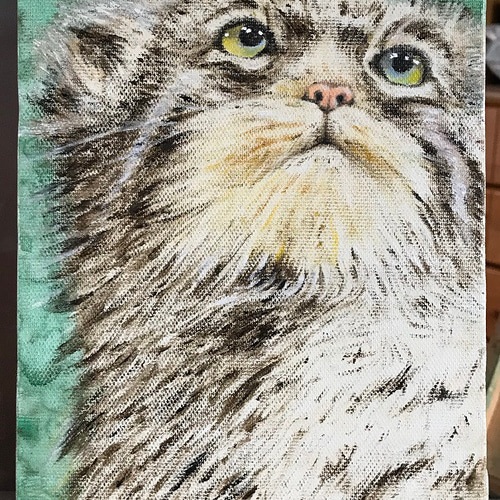 アクリル画 マヌルネコ 商品詳細ページ