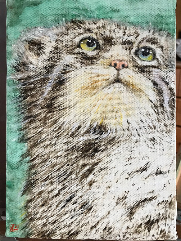 油絵 マヌル猫 絵画 kamekoen 通販 14774245｜Creema(クリーマ)