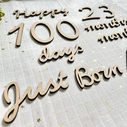 木製ベビーフォト25点set/ジャストボーン　ハーフバースデー　100日祝い 4枚目の画像