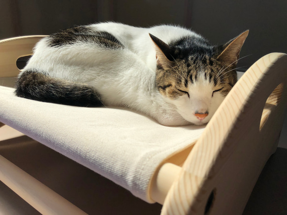 猫のハンモック・ベッド　帆布・パイン材　きばた・無塗装　CA02 13枚目の画像