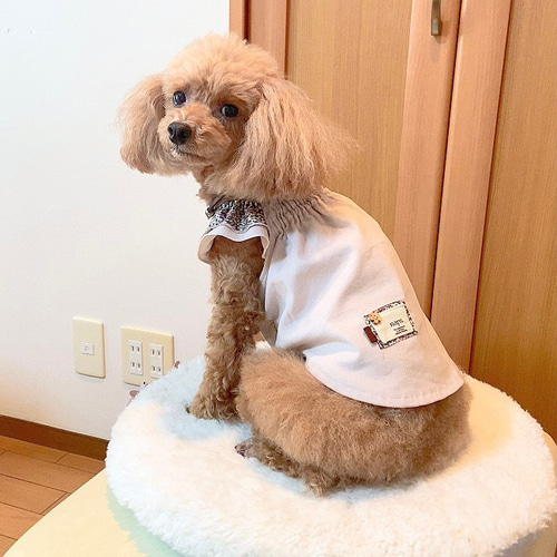 お1人様1点限り】 ミリィページ 犬の服ハンドメイド 犬用品