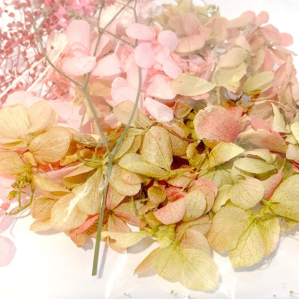 ハーバリウム用花材※ピンクナチュラル 4枚目の画像