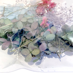 ハーバリウム用花材セット＊ラベンダー系 6枚目の画像