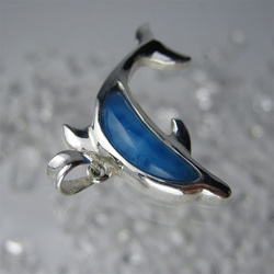 イルカのいる海　小さく青いイルカ、家宝だね【送料無料】iruka103  ドルフィン 7枚目の画像
