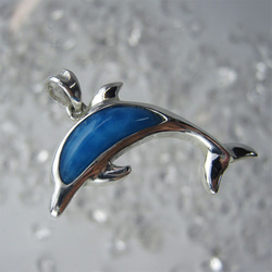 イルカのいる海　小さく青いイルカ、家宝だね【送料無料】iruka103  ドルフィン 2枚目の画像