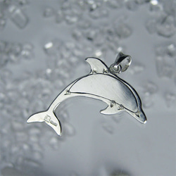 イルカのいる海　小さく青いイルカ、家宝だね【送料無料】iruka103  ドルフィン 8枚目の画像
