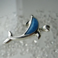 イルカのいる海　小さく青いイルカ、家宝だね【送料無料】iruka103  ドルフィン 6枚目の画像