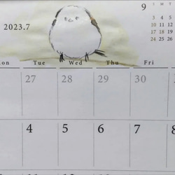 シマエナガのカレンダー  2023 7枚目の画像