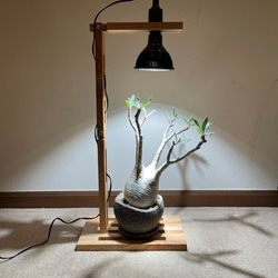 植物育成ライトスタンド 植物育成ライト用フロアースタンド（ネオアマテラス用：74cm