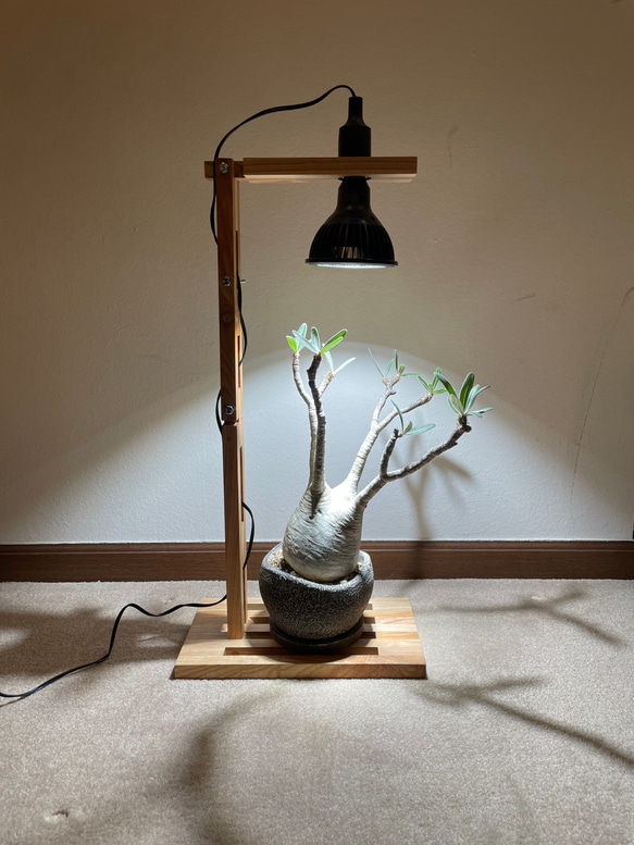 植物育成LEDライトスタンド［オーク］回転式サーキュレーター