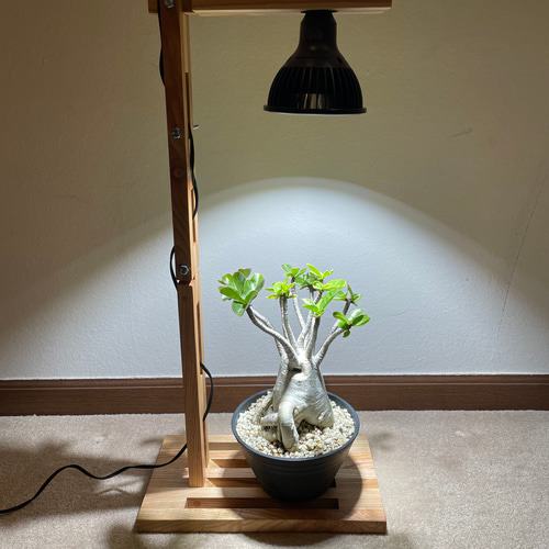 新作！植物育成ライトスタンド（LED別） スタンドライト