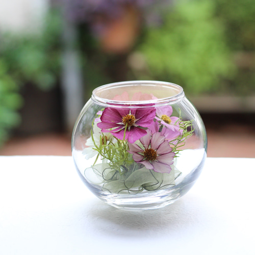 ❤ドライフラワー/ボトルフラワ－(M)コスモス（秋桜）□母の日・誕生日