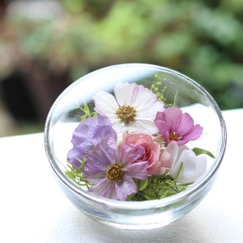 ❤ドライフラワー/ボトルフラワ－(秋花詰め合わせ)コスモス