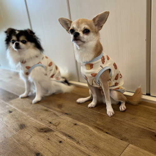 犬服 ゆう ハンドメイド 楽天市場】【全商品ポイント5倍】【楽天