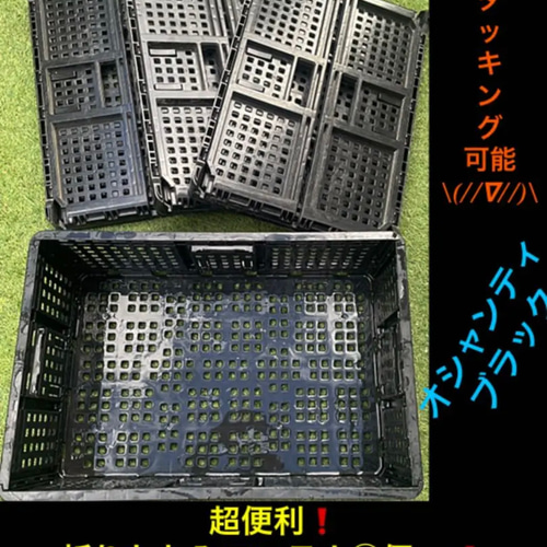 ✳️✳️超便利✳️✳️折りたたみコンテナ②個set‼️多肉、アガベ 