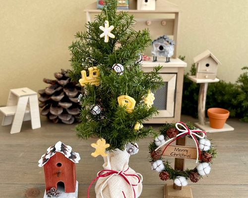 Eve クリスマスbox 冬のまったり鑑賞セット Eve クリスマスbox 冬の