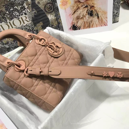 DIORディーオルショルダーバッグ女性用可愛い新品未使用