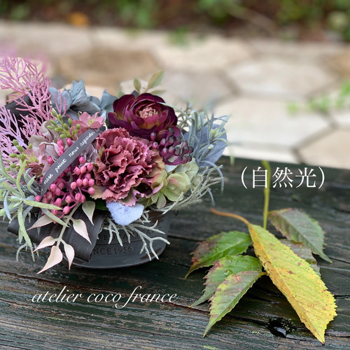 ⭐︎フランス伝統色で作った大人の秋冬アレンジ【光触媒コーティング
