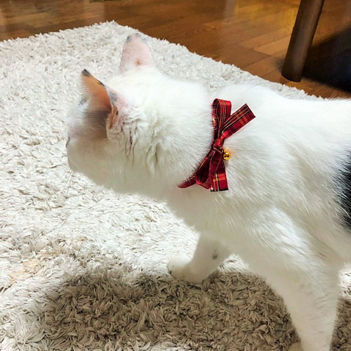 クリスマスチェックのおリボン ペット服・アクセサリー Kokia製作所