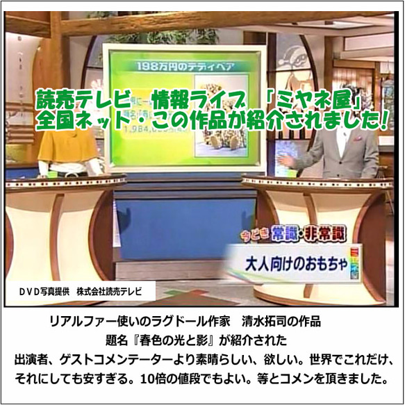 春色の光と影・テディベアをモチーフにアート作品 8枚目の画像