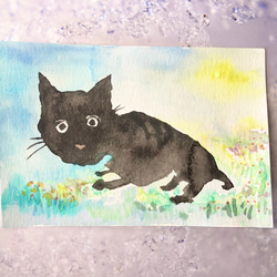 絵画。原画☆キャンバス F10【夜、黒猫が星を抱いて願い事をする】 絵画。原画☆キャンバス F10【夜、黒猫が星を抱いて願い事をする