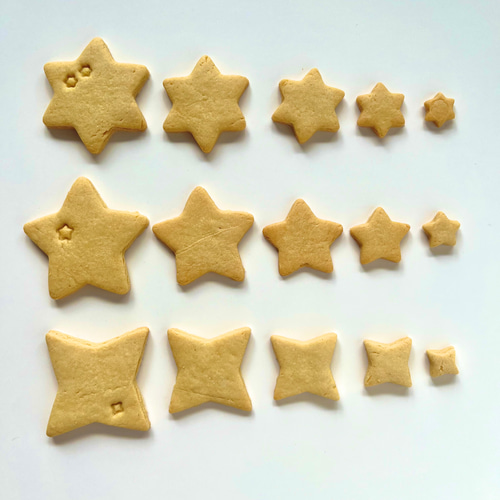 クッキー　0605 ウォーカー チョコレートクッキー 500g | Costco Japan