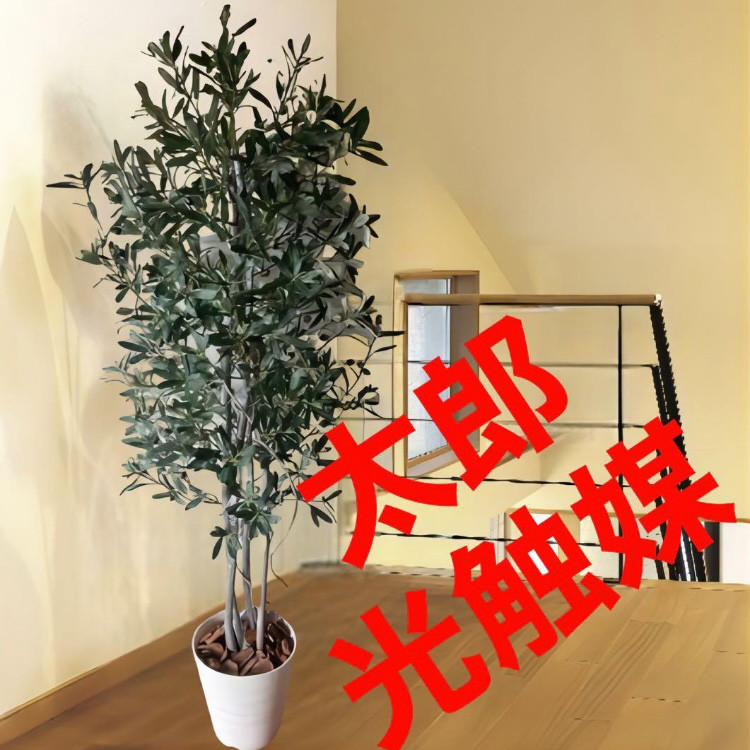 光触媒 人工観葉植物 ウォールグリーン フェイクグリーン オリーブ@gp
