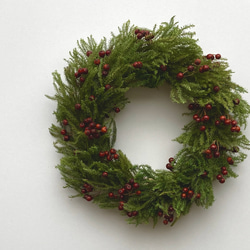 再販＊たちかずらと野ばらの実のリース＊受注制作 ドライフラワー