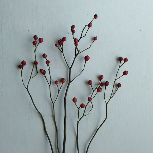 野バラの実のドライフラワー(大) ドライフラワー nyao-mery 通販