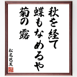 松尾芭蕉の俳句・短歌「秋を経て、蝶もなめるや、菊の露」額付き書道色紙／受注後直筆（Y8804） 1枚目の画像