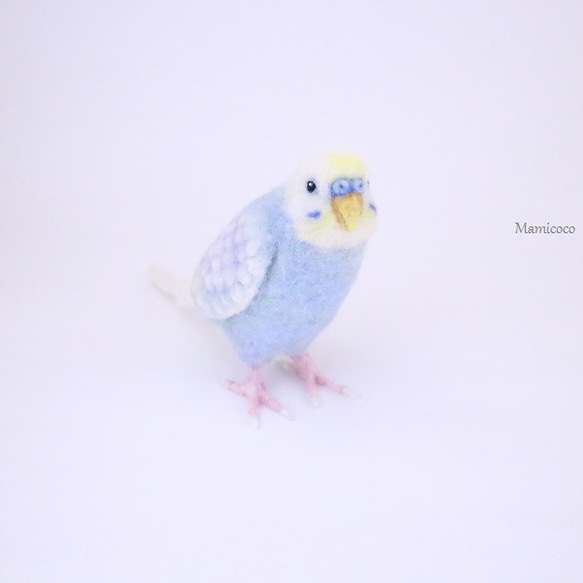 パステルレインボーインコ 1枚目の画像