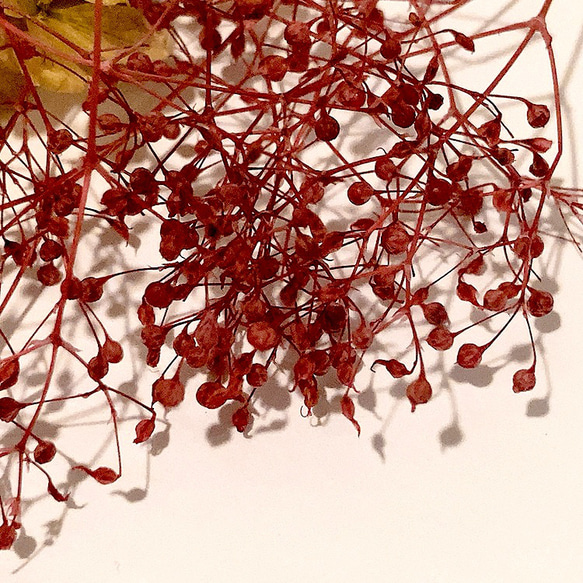 ハーバリウム用花材セット※ナチュラル（レッド系） 4枚目の画像