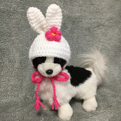 2023年卯年❤️うさぎの帽子❤️小型犬用帽子・猫用帽子 4枚目の画像