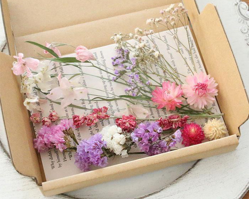 ドライフラワー花材詰め合わせ メール便送料無料】 【デルフィニウム・ピンク系】 ドライフラワー