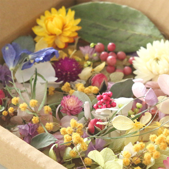 【メール便送料無料】 【Flower garden】 花材詰め合わせ キット ドライフラワー プリザーブドフラワー 3枚目の画像