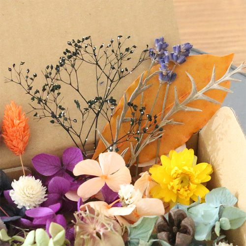 メール便送料無料】 【ハロウィン】 花材キット ドライフラワー