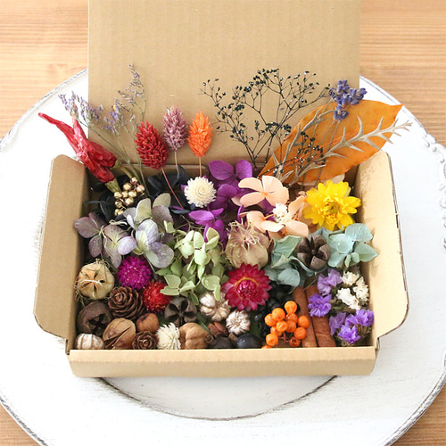 メール便送料無料】 【ハロウィン】 花材キット ドライフラワー