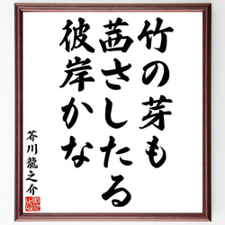 芥川龍之介の俳句・短歌「竹の芽も、茜さしたる、彼岸かな」額付き書道色紙／受注後直筆（Y8335） 1枚目の画像