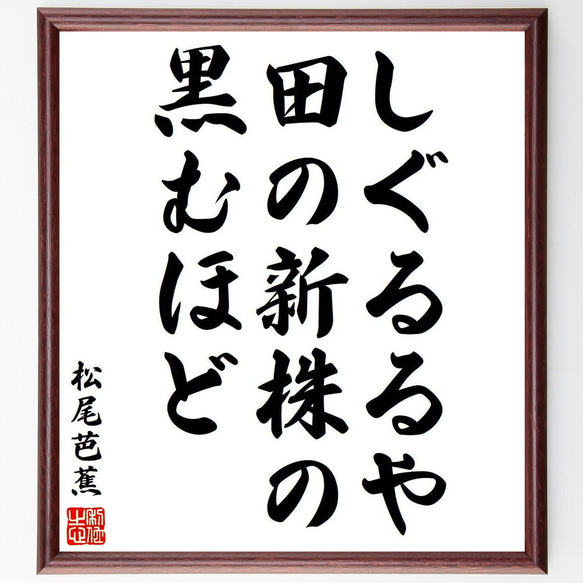 松尾芭蕉の俳句・短歌「しぐるるや、田の新株の、黒むほど」額付き書道色紙／受注後直筆（Y8362） 1枚目の画像